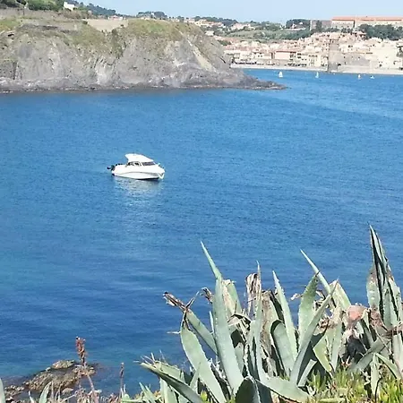 Les Pieds Dans L'eau A Collioure