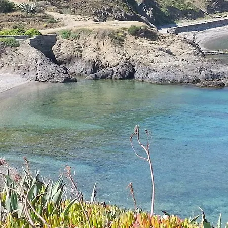 Les Pieds Dans L'eau A Villa Collioure